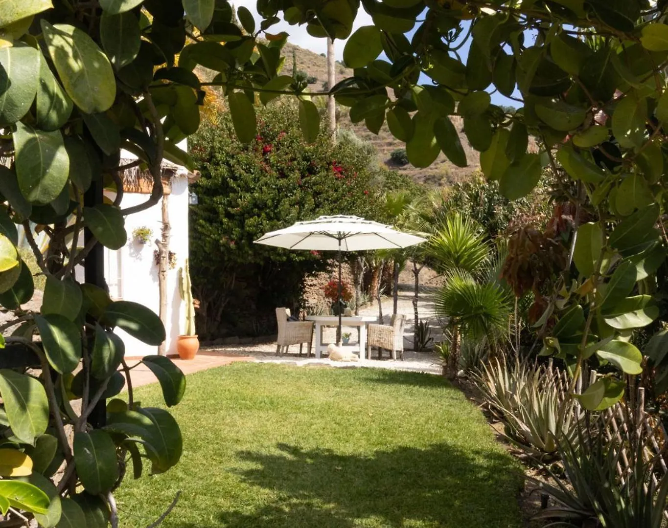 La Casa Del Burro Bed and Breakfast Nerja