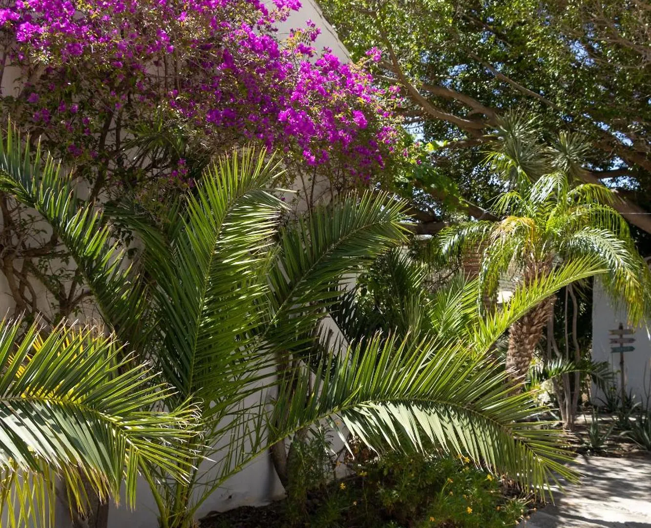 La Casa Del Burro Bed and Breakfast Nerja 0*,