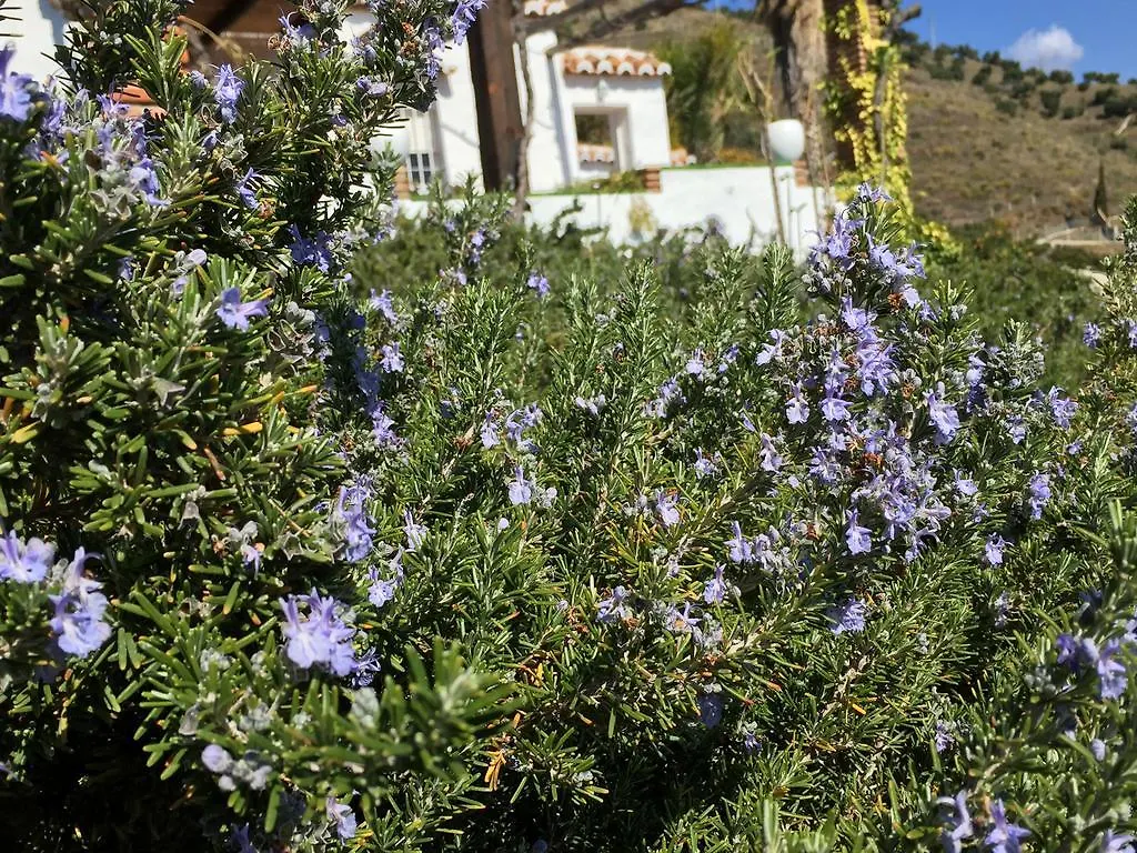 La Casa Del Burro Bed & Breakfast Nerja