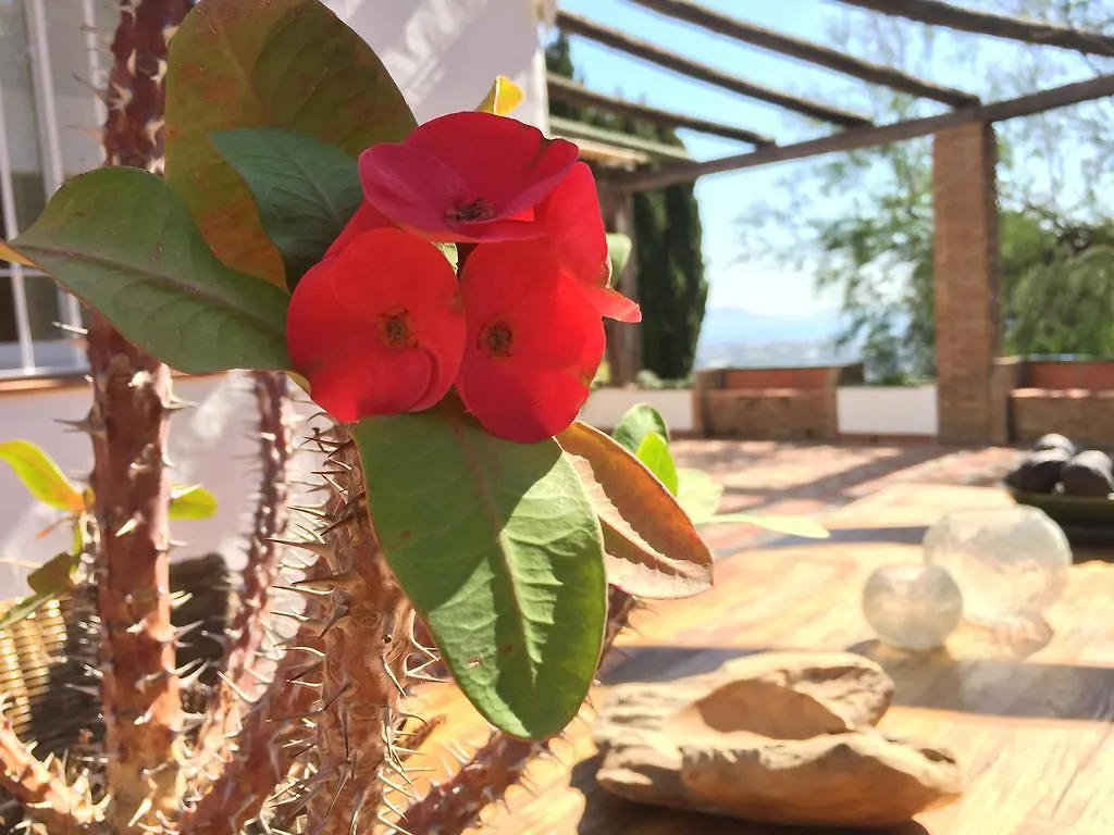 La Casa Del Burro Bed and Breakfast Nerja Bed & Breakfast