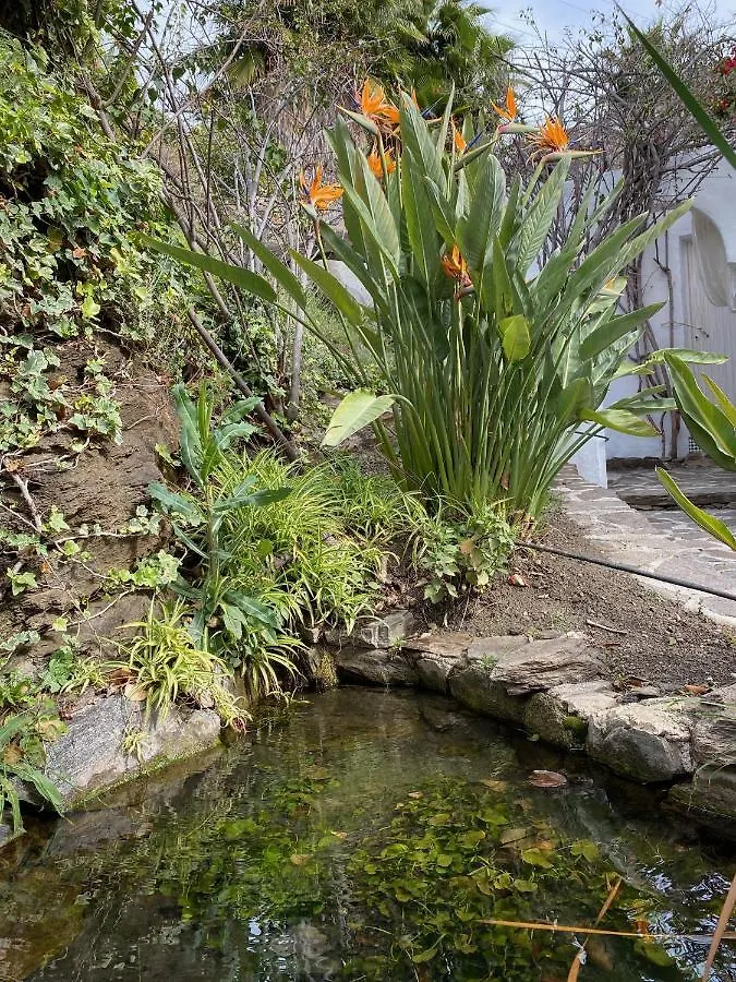Bed and Breakfast La Casa del Burro Nerja