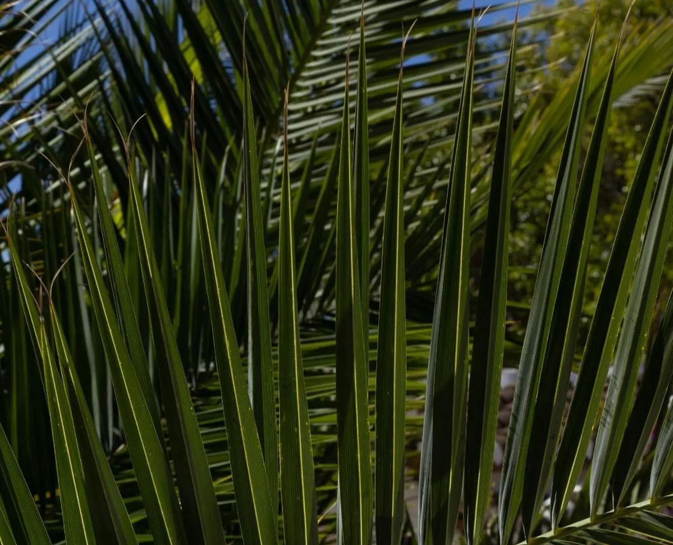 Bed and Breakfast La Casa Del Burro Nerja
