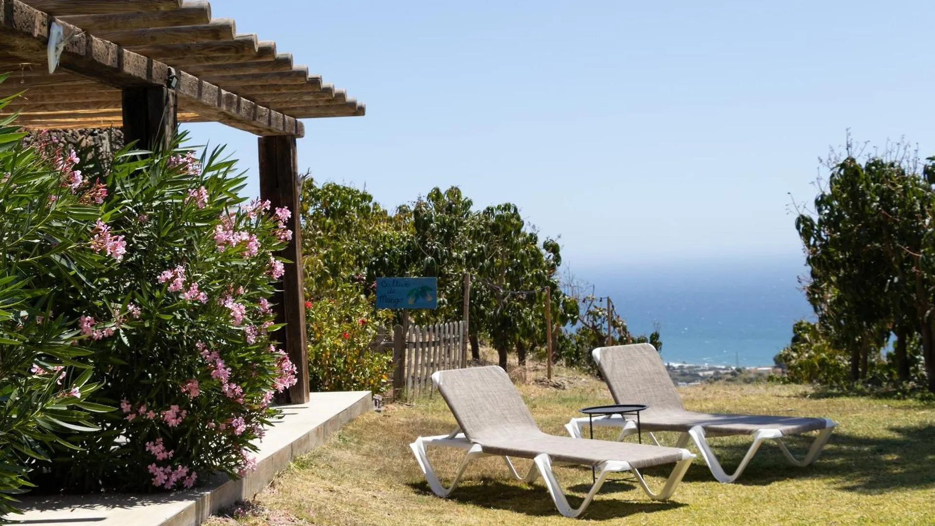 Bed and Breakfast La Casa del Burro Nerja
